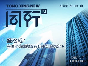 同策房產咨詢股份 賦能房地產行業的關鍵力量