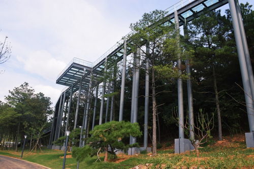 常州本土超大型企業(yè)拓展訓(xùn)練首選 露營(yíng)谷基地與其專(zhuān)業(yè)服務(wù)解析